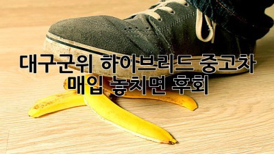 대구·군위 하이브리드 중고차 매입, 놓치면 후회! 🚗💨