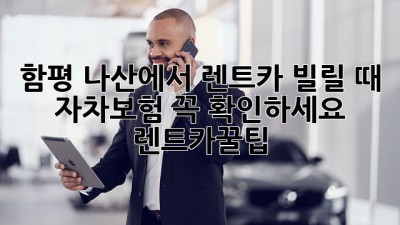 함평 나산에서 렌트카 빌릴 때 자차보험 꼭! 확인하세요 😉 #렌트카꿀팁